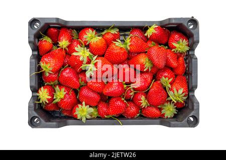 Red fresh strawberry in a black plastic box, container isolated on white, top view Stock Photo