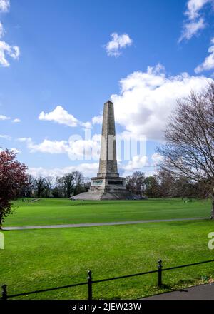 The Wellington Monument, an obelisk located in the Phoenix Park, Dublin, Ireland. Stock Photo