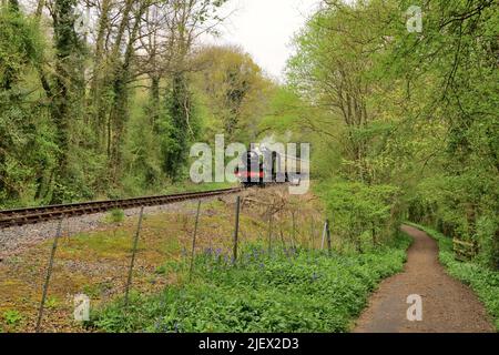 Rebuilt GWR Saint class steam locomotive No 2999 Lady of Legend at the Severn Valley Railway's Spring Gala 2022. Stock Photo