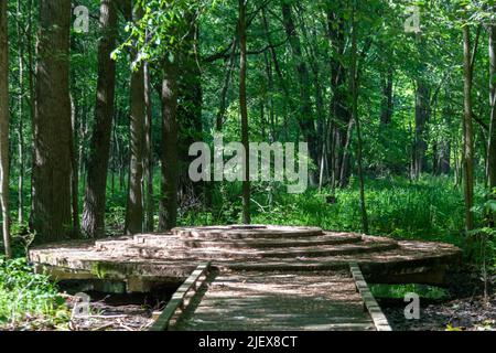 Leslie, Michigan - One of the two meridian and baseline markers in ...