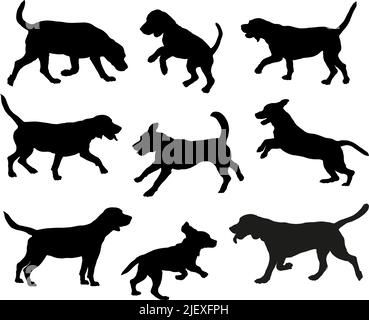 Group of beagles in various poses. Black dog silhouette. Running, standing, sniffing, jumping beagles. Isolated on a white background. Pet animals. Ve Stock Vector