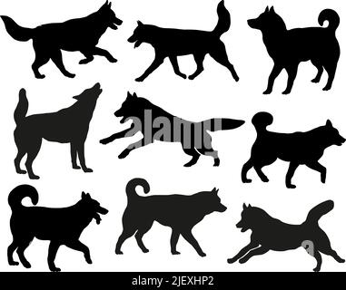 Group of siberian huskies. Black dog silhouette. Running, standing, walking, jumping dogs. Isolated on a white background. Pet animals. Vector illustr Stock Vector