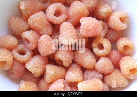 Yellow raspberries in a bowl. Stock Photo