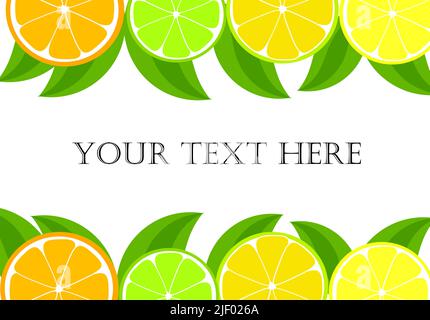 Vector seamless decorative border of lime slice. Realistic citrus ...