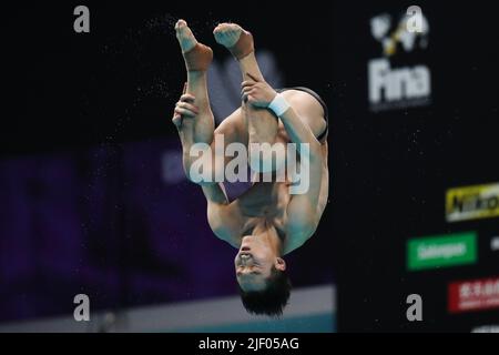 Budapest, Hungary. 28th June, 2022. Wang Zongyuan of China competes during the men's 3m springboard final of diving at the 19th FINA World Championships in Budapest, Hungary, June 28, 2022. Credit: Zheng Huansong/Xinhua/Alamy Live News Stock Photo