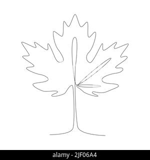 Botany natural eco concept. one line drawing maple leaf Stock Vector