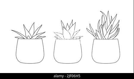 eco simple potted plant drawing