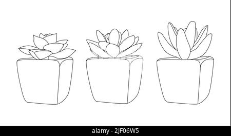 Eco interior with succulents in simple linear style. Editable stroke Vector illustration Stock Vector