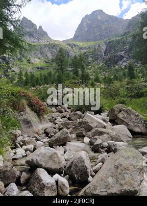 Cima d’Asta  is the highest mountain of the Fiemme Mountains in the eastern part of the Italian province of Trentino Stock Photo