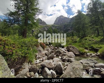 Cima d’Asta  is the highest mountain of the Fiemme Mountains in the eastern part of the Italian province of Trentino Stock Photo