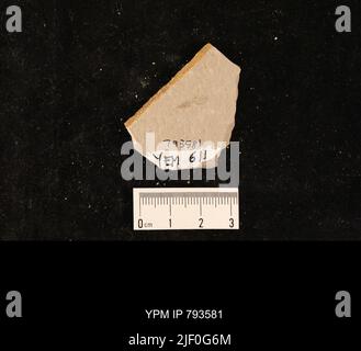 Ephemeroptera. Stock Photo