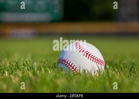 Low angle selective focus view of a baseball in grass with outfield fence in the background Stock Photo