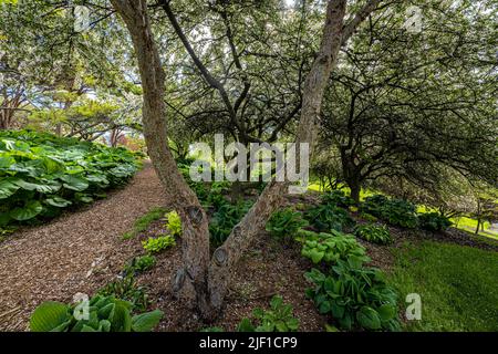 Arboretum and Botanical Garden in Moscow, Idaho Stock Photo