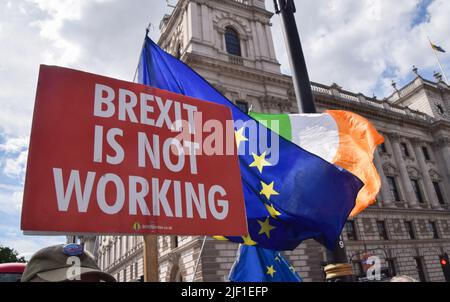 London, UK. 28th June, 2022. An anti-Brexit placard and EU and Ireland flags are seen during the demonstration. Protesters gathered in Parliament Square as the Police, Crime, Sentencing and Courts bill comes into force in the UK, restricting 'noisy' protests. The police confiscated anti-Brexit activist Steve Bray's loudspeakers earlier in the day. Credit: SOPA Images Limited/Alamy Live News Stock Photo