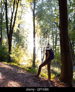 Young travel woman with backpack exploring woods in mountains in the morning Stock Photo
