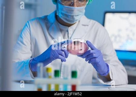 Close-up of busy microbiologist in white coat and rubber gloves sitting at desk and looking at microorganism in petri dish while working in laboratory Stock Photo