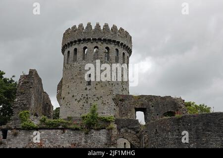 Circular keep of Nenagh Castle in County Tipperary Stock Photo