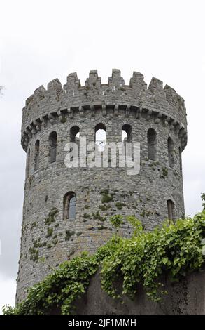 Circular keep of Nenagh Castle in County Tipperary Stock Photo