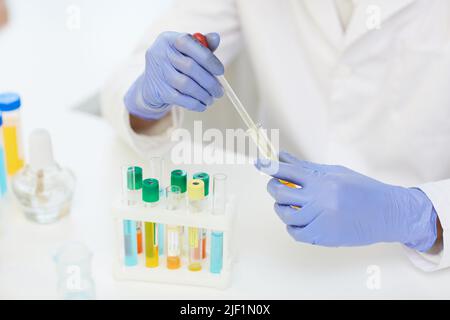 Close-up of unrecognizable scientist in rubber gloves sitting at desk with test tube rack and preparing sample for laboratory testing Stock Photo