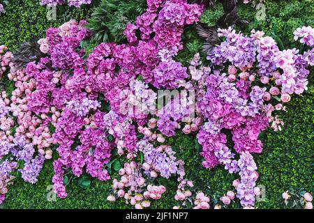 Decorative plant wall from artificial green grass and different pink purple flowers as romantic, wedding, background Stock Photo