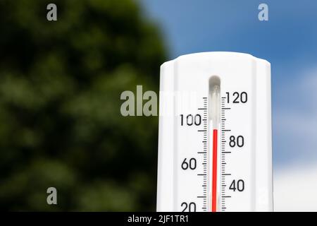 Outdoor thermometer in the sun during heatwave with trees and sky in background. Hot weather, high temperature and heat warning concept. Stock Photo