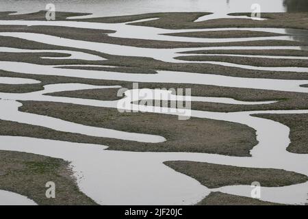 The natural patterns of a mudflat and water paths at low tide in Point Reyes National seashore in California. Stock Photo