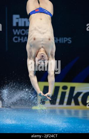 Budapest, Hungary. 28th June, 2022. Cao Yuan of China competes during the men's 3m springboard final of diving at the 19th FINA World Championships in Budapest, Hungary, June 28, 2022. Credit: Attila Volgyi/Xinhua/Alamy Live News Stock Photo