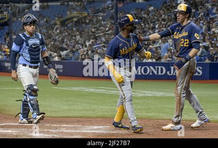St Petersburg, United States. 28th June, 2022. Tampa Bay Rays catcher Rene Pinto (L) walks back to the plate as Milwaukee Brewers' Christian Yelich (22) congratulates Andrew McCutchen (C) after his two-run home run off Tampa Bay reliever Matt Wisler during the sixth inning at Tropicana Field in St. Petersburg, Florida on Tuesday, June 28, 2022. Photo by Steve Nesius/UPI Credit: UPI/Alamy Live News Stock Photo