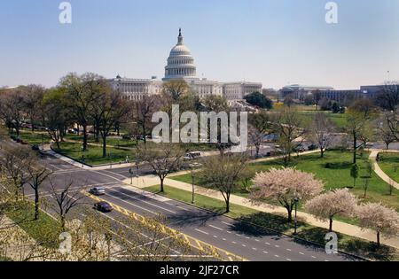 Capitol Building Washington DC skyline in the spring cherry blossom trees blooming. High angle view of cherry blossoms in The National Mall. USA Stock Photo