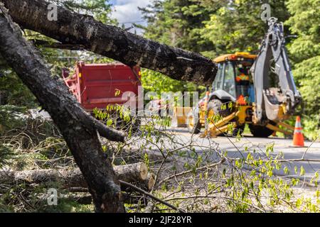 Closeup selective focus view on a closed highway as workers clear fallen trees after high wind. Branches are seen in foreground with blurry excavator. Stock Photo