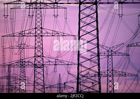 29 June 2022, North Rhine-Westphalia, Niederaußem: Electricity pylons stand in a field at dusk in the morning. To save gas, the Ministry of Economics is temporarily increasing the use of electricity from coal. Photo: Federico Gambarini/dpa Stock Photo