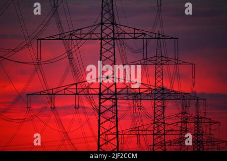 29 June 2022, North Rhine-Westphalia, Niederaußem: Electricity pylons stand in a field at dusk in the morning. To save gas, the Ministry of Economics is temporarily increasing the use of electricity from coal. Photo: Federico Gambarini/dpa Stock Photo