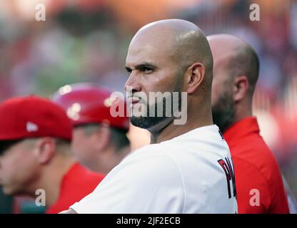 St. Louis, United States. 29th June, 2022. St. Louis Cardinals designated hitter Albert Pujols watches the action against the Miami Marlins from the dugout at Busch Stadium in St. Louis on Tuesday, June 28, 2022. Photo by Bill Greenblatt/UPI Credit: UPI/Alamy Live News Stock Photo