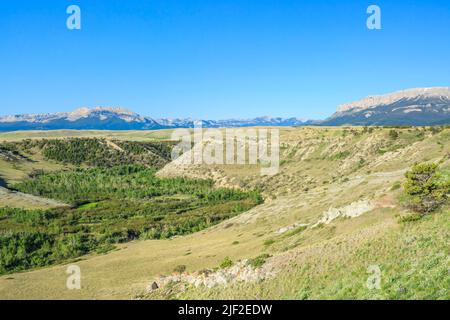 deep creek valley below the rocky mountain front near choteau, montana Stock Photo