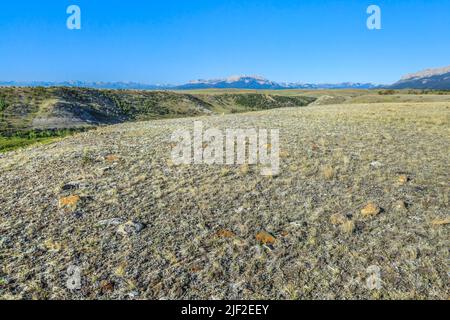 tipi ring along the deep creek valley below the rocky mountain front near choteau, montana Stock Photo