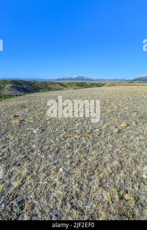 tipi ring along the deep creek valley below the rocky mountain front near choteau, montana Stock Photo