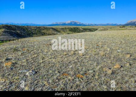 tipi ring along the deep creek valley below the rocky mountain front near choteau, montana Stock Photo