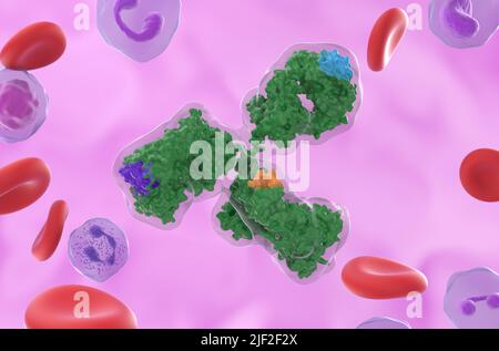 Monoclonal antibodies (IgG) bioengineered molecules against leukemias, lymphomas and rheumatoid arthritis - closeup view 3d illustration Stock Photo