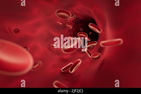 Red blood cells flowing through blood vessels, 3d rendering. Computer digital drawing. Stock Photo