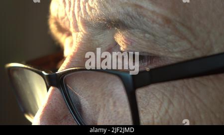 An elderly man with glasses looks at the computer screen Stock Photo