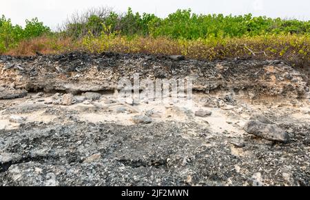 Lakshadweep, India - March 15, 2022: Coral rock at Kalpeni Island Lakshadweep Stock Photo