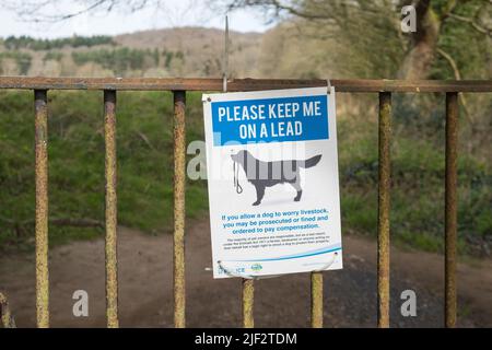 Sign for dog walkers saying 'please keep me on a lead' to protect livestock Stock Photo