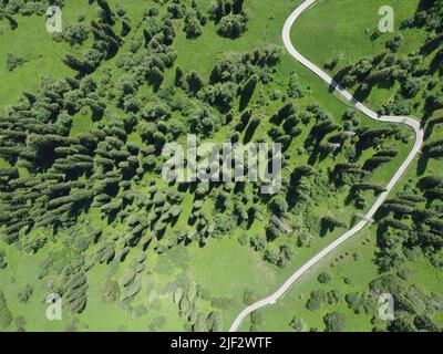 Yining. 28th June, 2022. Aerial photo taken on June 28, 2022 shows a view of Narat scenic spot in Xinyuan County, northwest China's Xinjiang Uygur Autonomous Region. Credit: Hao Jianwei/Xinhua/Alamy Live News Stock Photo