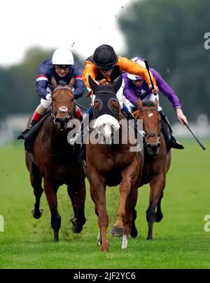 File photo dated 13-10-2021 of Raasel ridden by William Buick (centre). Raasel's ascent up the sprinting ladder may have surprised some ahead of his outing in the Coral Charge at Sandown on Saturday - but not his shrewd owners who snapped him up for a meagre 10,000 guineas. Issue date: Wednesday June 29, 2022. Stock Photo