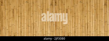 Bamboo banner background. Wooden texture bamboo plant on the decorative wall. High quality photo Stock Photo