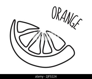 Orange slice hand drawn with thin line. Vector illustration brush isolated on white background Stock Vector