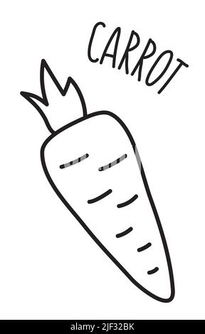 Carrot acribble hand drawn with thin line. Vector illustration isolated on white background Stock Vector