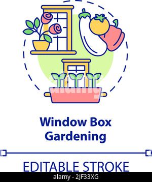 Window box gardening concept icon Stock Vector