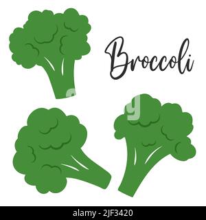 Fresh juicy green broccoli florets vector set Stock Vector