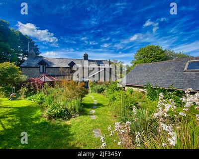 Cottage and garden in Cornwall Stock Photo